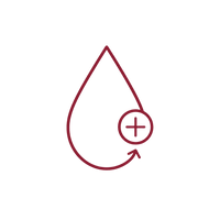 Water or diluted leave-in — <strong>one tool that replaces three</strong>